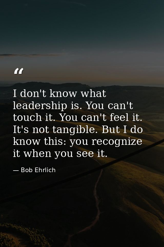 I don't know what leadership is. You can't touch it. You can't feel it. It's not tangible. But I do know this: you recog — Bob Ehrlich