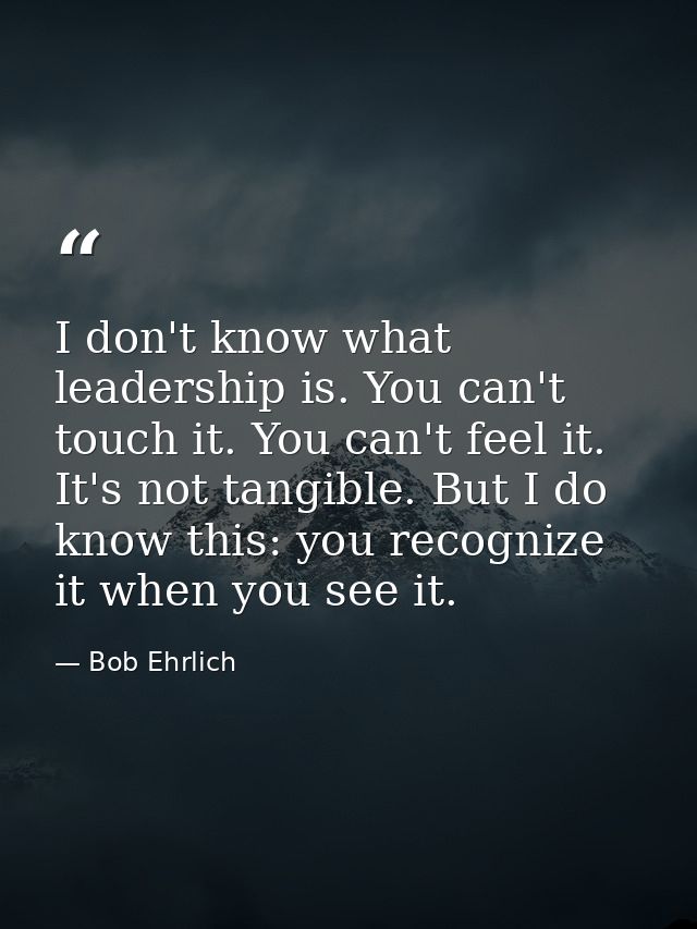 I don't know what leadership is. You can't touch it. You can't feel it. It's not tangible. But I do know this: you recog — Bob Ehrlich
