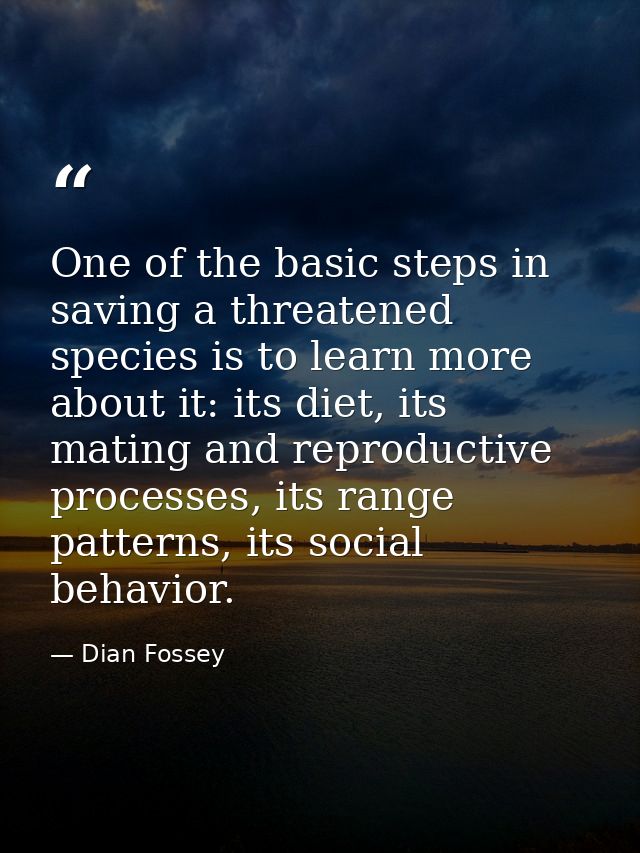 One of the basic steps in saving a threatened species is to learn more about it: its diet, its mating and reproductive p — Dian Fossey