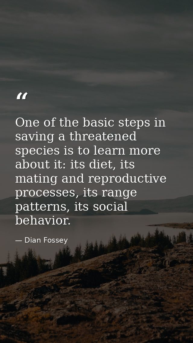 One of the basic steps in saving a threatened species is to learn more about it: its diet, its mating and reproductive p — Dian Fossey