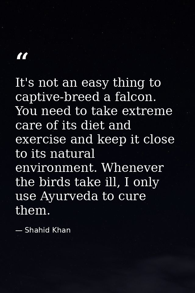 It's not an easy thing to captive-breed a falcon. You need to take extreme care of its diet and exercise and keep it clo — Shahid Khan