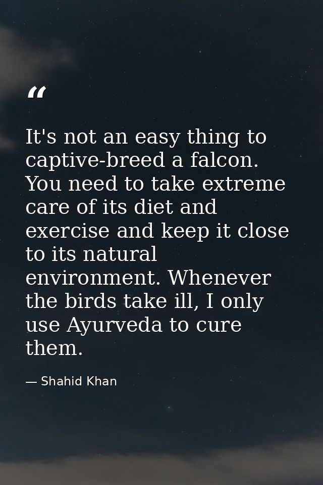 It's not an easy thing to captive-breed a falcon. You need to take extreme care of its diet and exercise and keep it clo — Shahid Khan