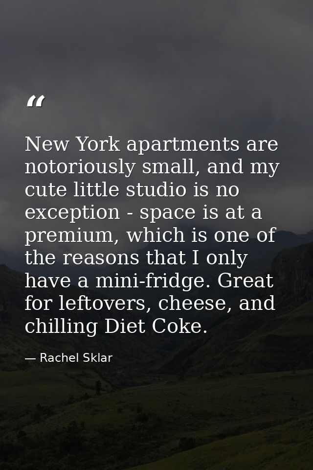 New York apartments are notoriously small, and my cute little studio is no exception - space is at a premium, which is o — Rachel Sklar