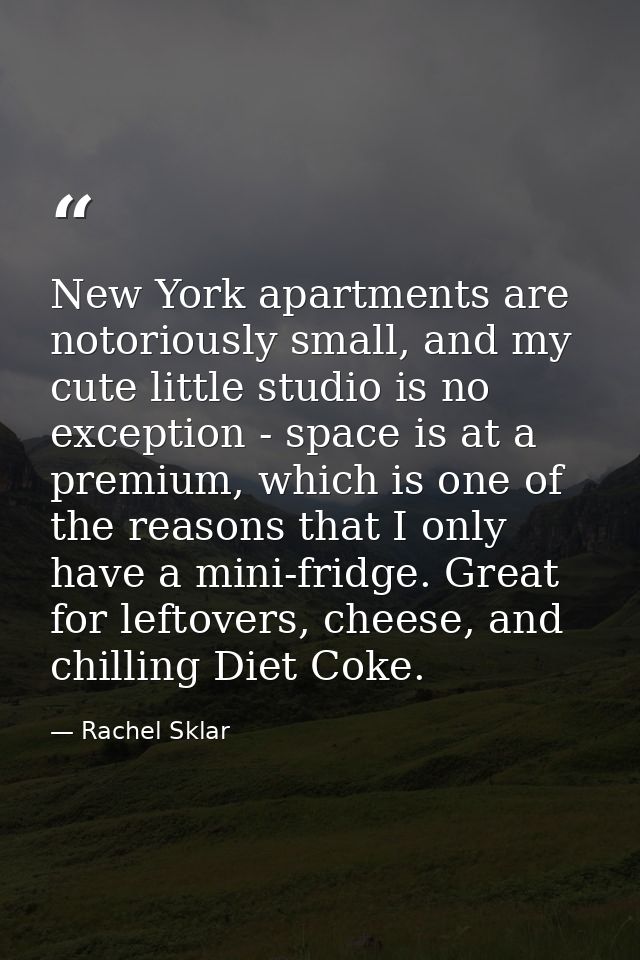 New York apartments are notoriously small, and my cute little studio is no exception - space is at a premium, which is o — Rachel Sklar