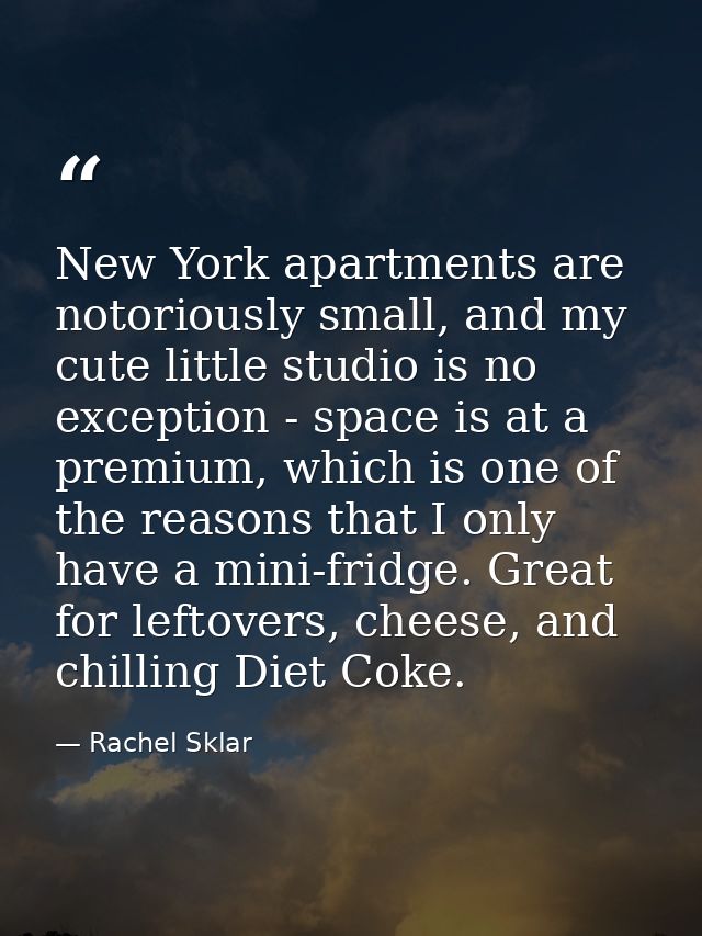 New York apartments are notoriously small, and my cute little studio is no exception - space is at a premium, which is o — Rachel Sklar