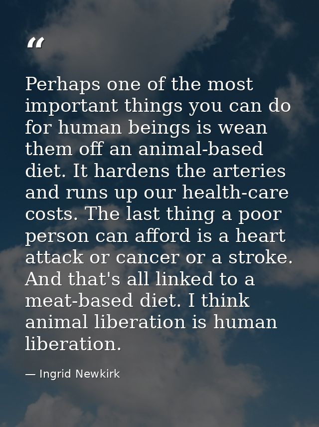 Perhaps one of the most important things you can do for human beings is wean them off an animal-based diet. It hardens t — Ingrid Newkirk