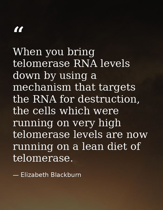 When you bring telomerase RNA levels down by using a mechanism that targets the RNA for destruction, the cells which wer — Elizabeth Blackburn