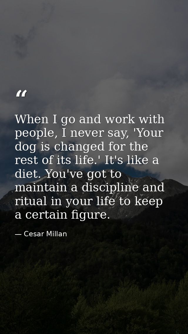 When I go and work with people, I never say, 'Your dog is changed for the rest of its life.' It's like a diet. You've go — Cesar Millan
