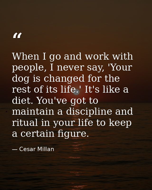 When I go and work with people, I never say, 'Your dog is changed for the rest of its life.' It's like a diet. You've go — Cesar Millan