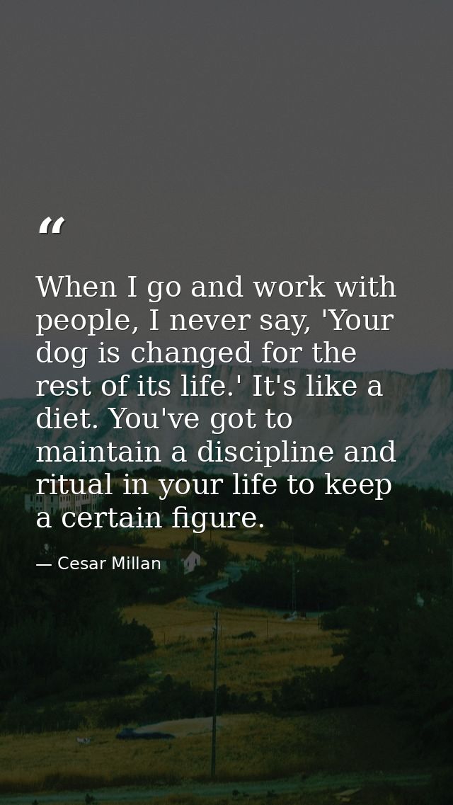 When I go and work with people, I never say, 'Your dog is changed for the rest of its life.' It's like a diet. You've go — Cesar Millan