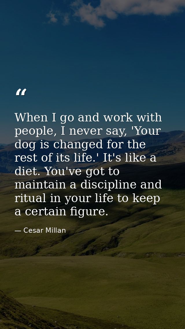 When I go and work with people, I never say, 'Your dog is changed for the rest of its life.' It's like a diet. You've go — Cesar Millan