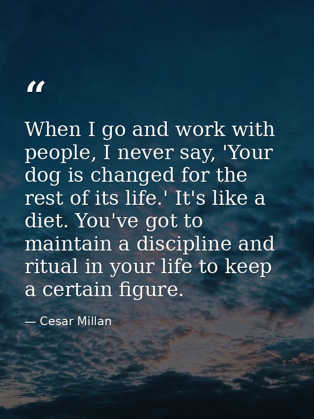 When I go and work with people, I never say, 'Your dog is changed for the rest of its life.' It's like a diet. You've go — Cesar Millan