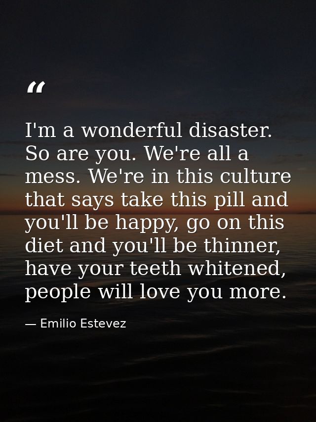 I'm a wonderful disaster. So are you. We're all a mess. We're in this culture that says take this pill and you'll be hap — Emilio Estevez