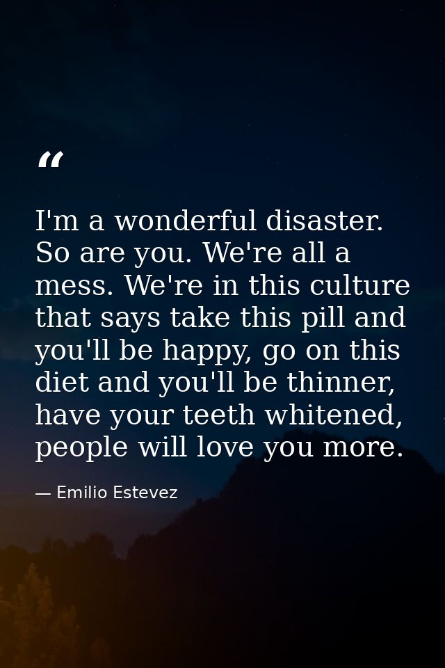 I'm a wonderful disaster. So are you. We're all a mess. We're in this culture that says take this pill and you'll be hap — Emilio Estevez