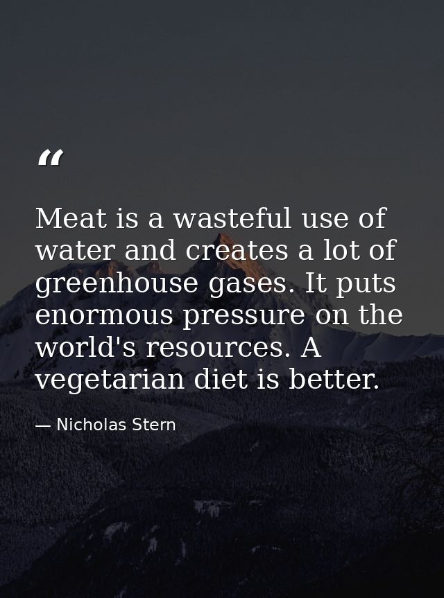 Meat is a wasteful use of water and creates a lot of greenhouse gases. It puts enormous pressure on the world's resource — Nicholas Stern