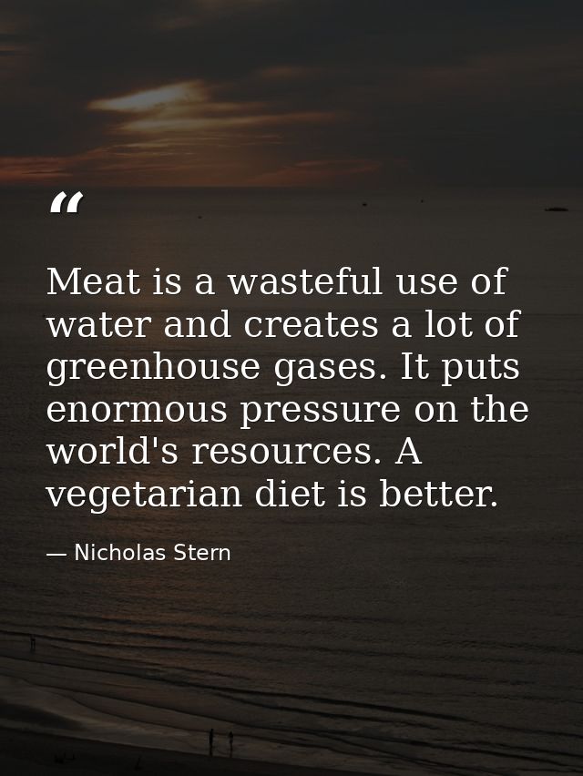 Meat is a wasteful use of water and creates a lot of greenhouse gases. It puts enormous pressure on the world's resource — Nicholas Stern