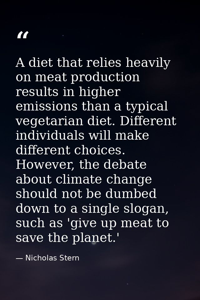 A diet that relies heavily on meat production results in higher emissions than a typical vegetarian diet. Different indi — Nicholas Stern