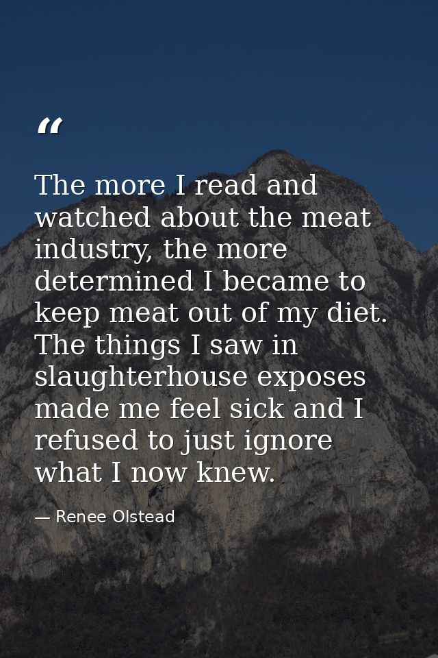 The more I read and watched about the meat industry, the more determined I became to keep meat out of my diet. The thing — Renee Olstead