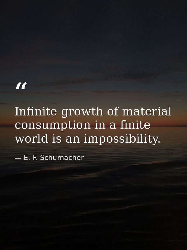 Infinite growth of material consumption in a finite world is an impossibility. — E. F. Schumacher