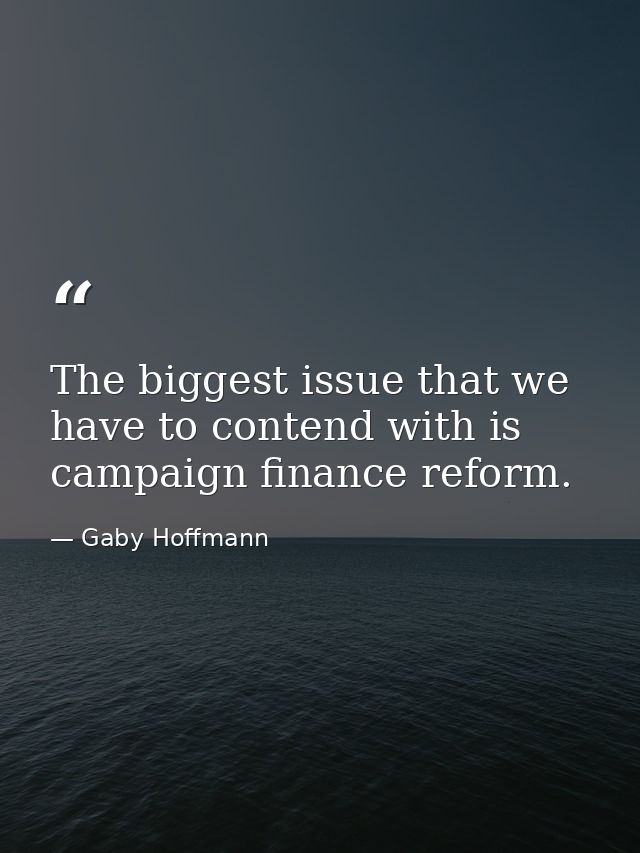 The biggest issue that we have to contend with is campaign finance reform. — Gaby Hoffmann