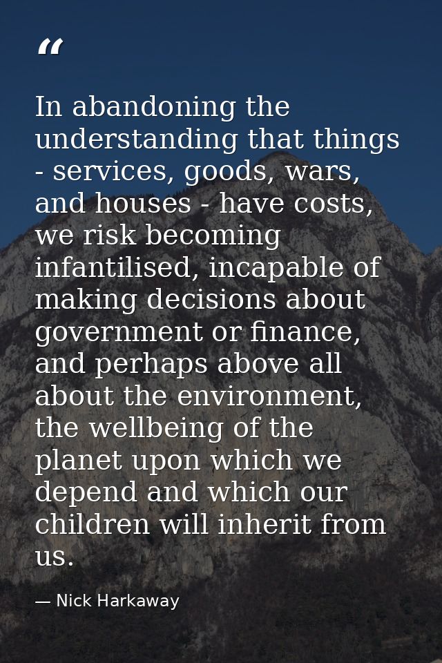 In abandoning the understanding that things - services, goods, wars, and houses - have costs, we risk becoming infantili — Nick Harkaway