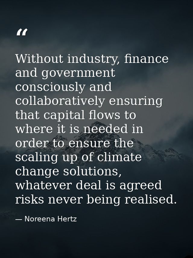 Without industry, finance and government consciously and collaboratively ensuring that capital flows to where it is need — Noreena Hertz