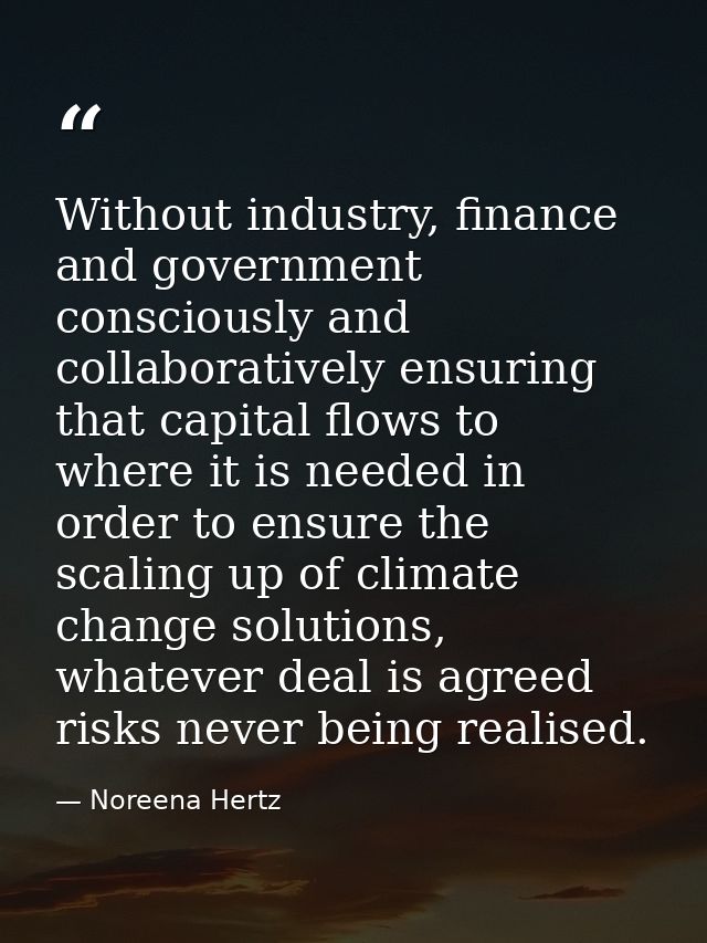 Without industry, finance and government consciously and collaboratively ensuring that capital flows to where it is need — Noreena Hertz
