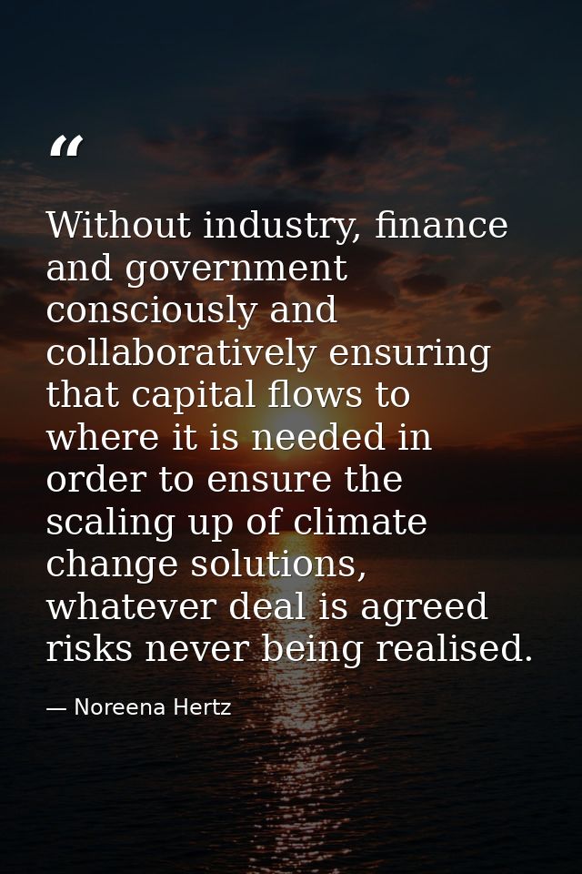 Without industry, finance and government consciously and collaboratively ensuring that capital flows to where it is need — Noreena Hertz