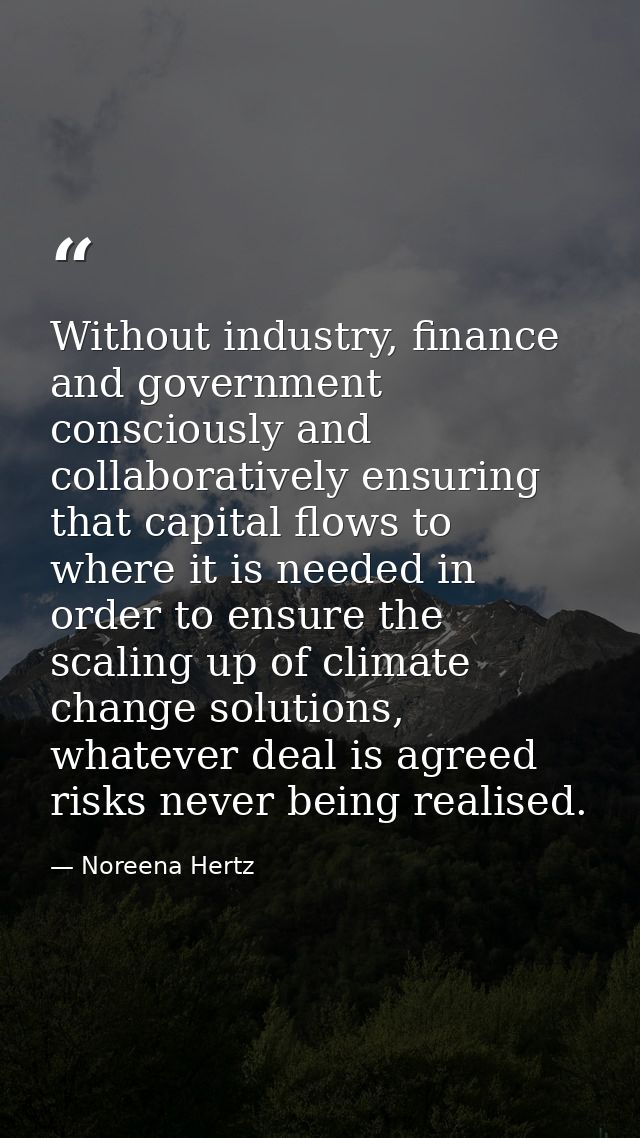 Without industry, finance and government consciously and collaboratively ensuring that capital flows to where it is need — Noreena Hertz