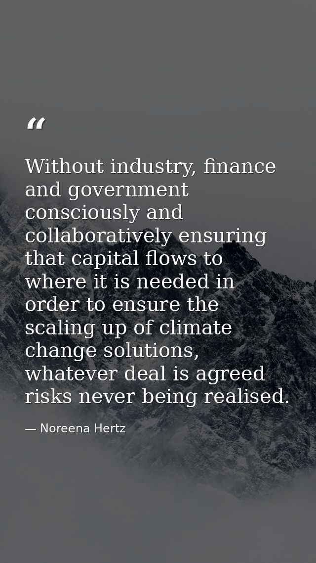 Without industry, finance and government consciously and collaboratively ensuring that capital flows to where it is need — Noreena Hertz
