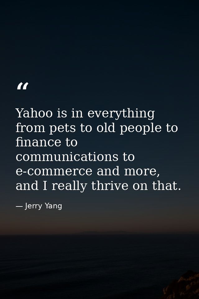 Yahoo is in everything from pets to old people to finance to communications to e-commerce and more, and I really thrive  — Jerry Yang
