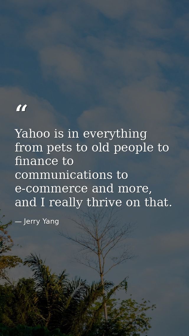 Yahoo is in everything from pets to old people to finance to communications to e-commerce and more, and I really thrive  — Jerry Yang