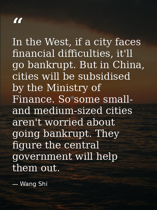 In the West, if a city faces financial difficulties, it'll go bankrupt. But in China, cities will be subsidised by the M — Wang Shi