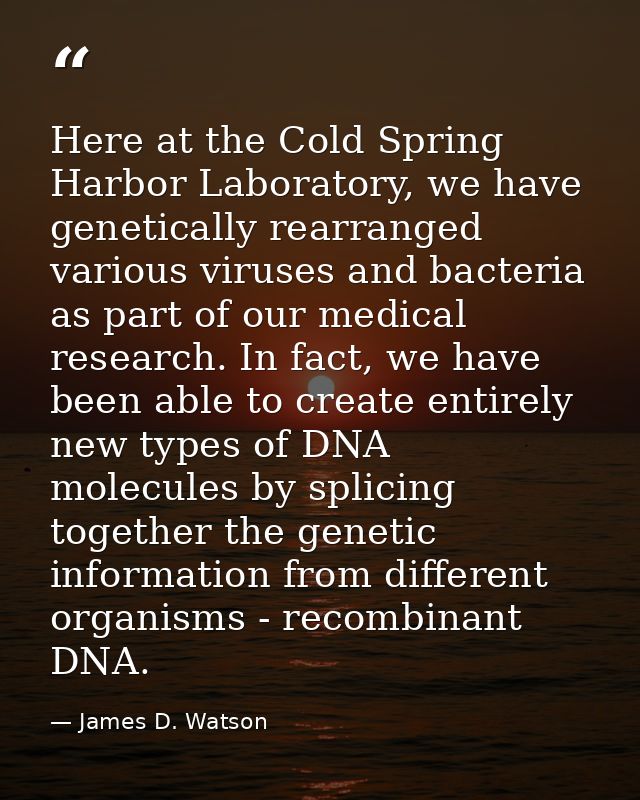 Here at the Cold Spring Harbor Laboratory, we have genetically rearranged various viruses and bacteria as part of our me — James D. Watson
