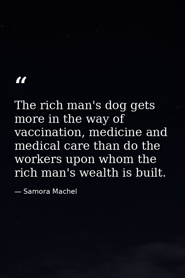The rich man's dog gets more in the way of vaccination, medicine and medical care than do the workers upon whom the rich — Samora Machel