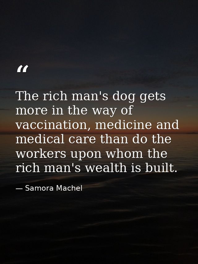 The rich man's dog gets more in the way of vaccination, medicine and medical care than do the workers upon whom the rich — Samora Machel