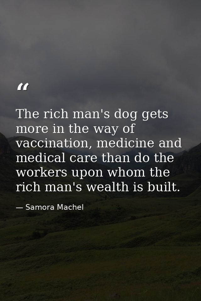 The rich man's dog gets more in the way of vaccination, medicine and medical care than do the workers upon whom the rich — Samora Machel