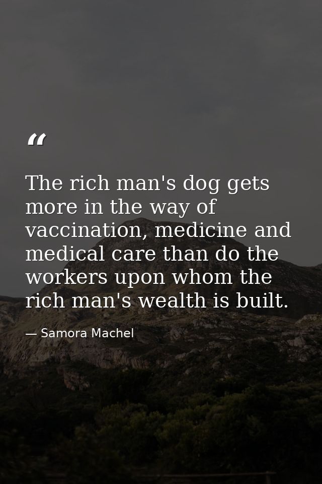 The rich man's dog gets more in the way of vaccination, medicine and medical care than do the workers upon whom the rich — Samora Machel