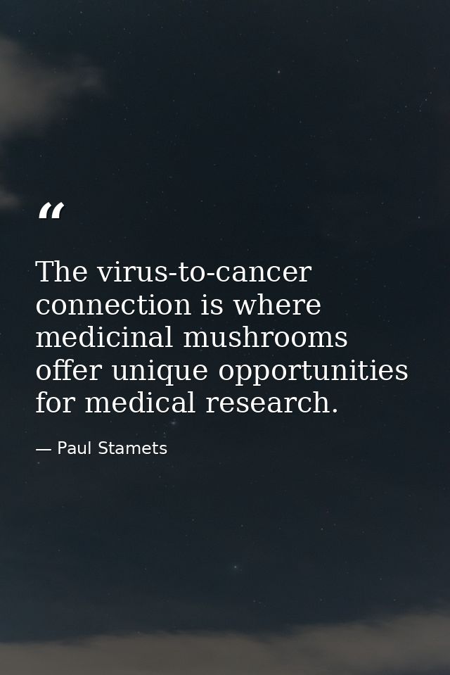 The virus-to-cancer connection is where medicinal mushrooms offer unique opportunities for medical research. — Paul Stamets