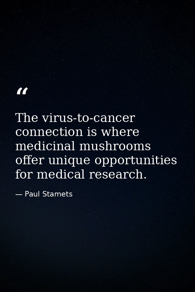The virus-to-cancer connection is where medicinal mushrooms offer unique opportunities for medical research. — Paul Stamets