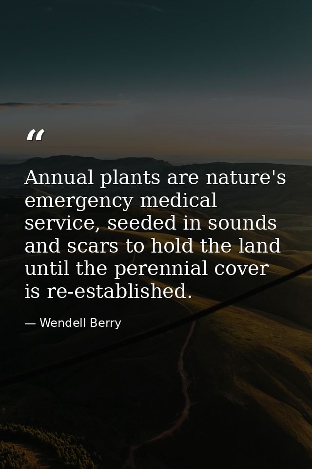 Annual plants are nature's emergency medical service, seeded in sounds and scars to hold the land until the perennial co — Wendell Berry