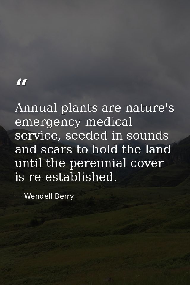 Annual plants are nature's emergency medical service, seeded in sounds and scars to hold the land until the perennial co — Wendell Berry