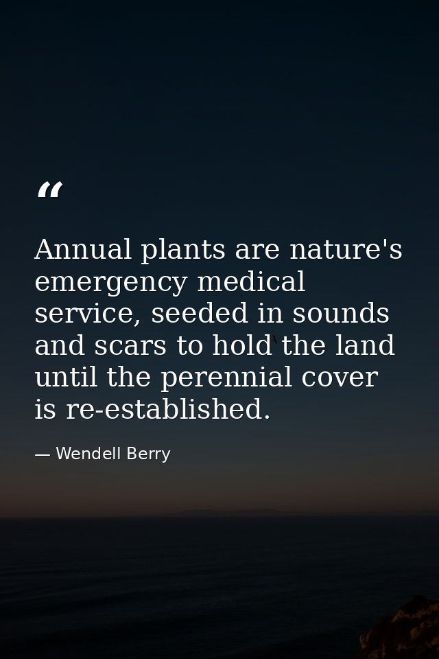 Annual plants are nature's emergency medical service, seeded in sounds and scars to hold the land until the perennial co — Wendell Berry