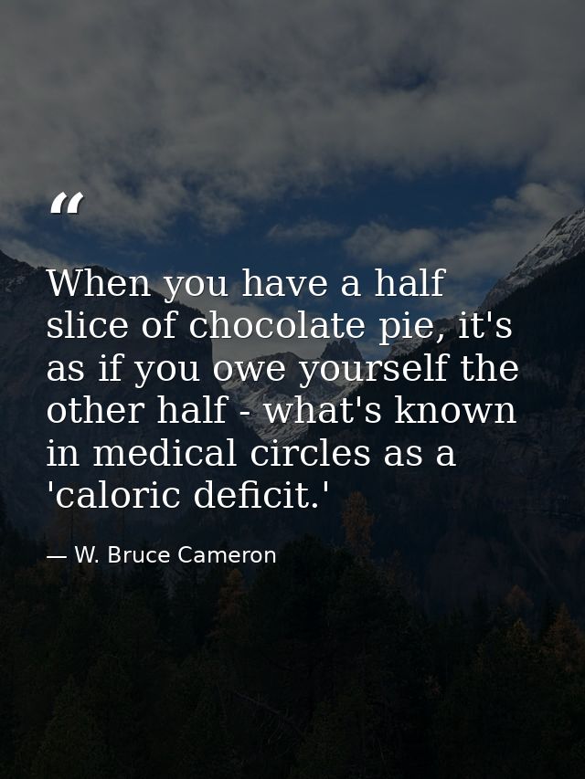 When you have a half slice of chocolate pie, it's as if you owe yourself the other half - what's known in medical circle — W. Bruce Cameron