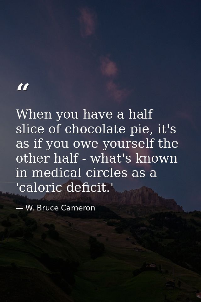 When you have a half slice of chocolate pie, it's as if you owe yourself the other half - what's known in medical circle — W. Bruce Cameron