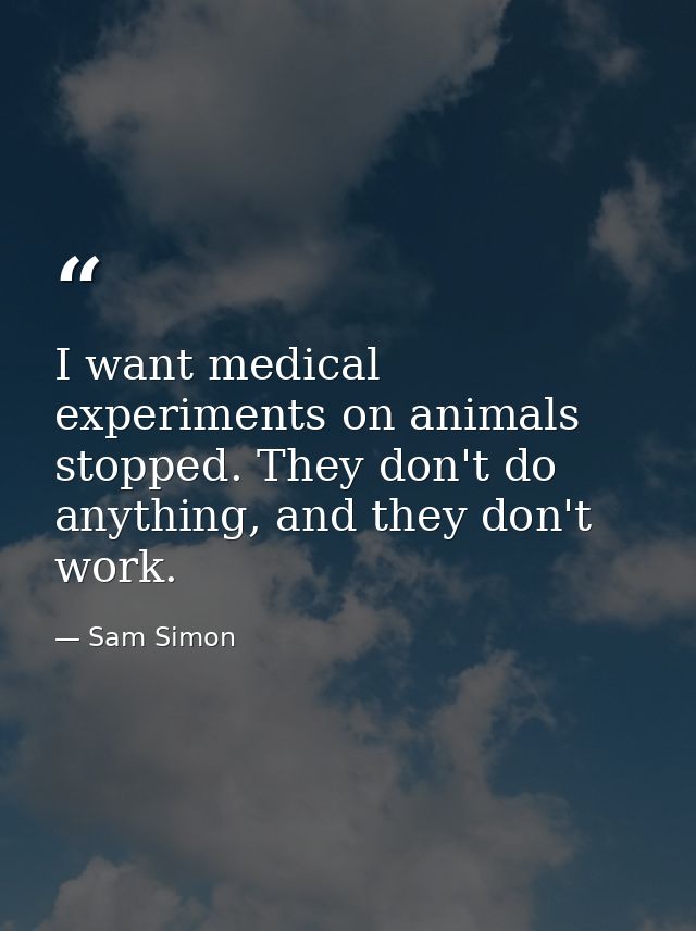 I want medical experiments on animals stopped. They don't do anything, and they don't work. — Sam Simon