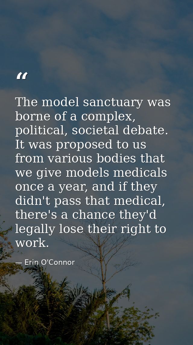 The model sanctuary was borne of a complex, political, societal debate. It was proposed to us from various bodies that w — Erin O'Connor