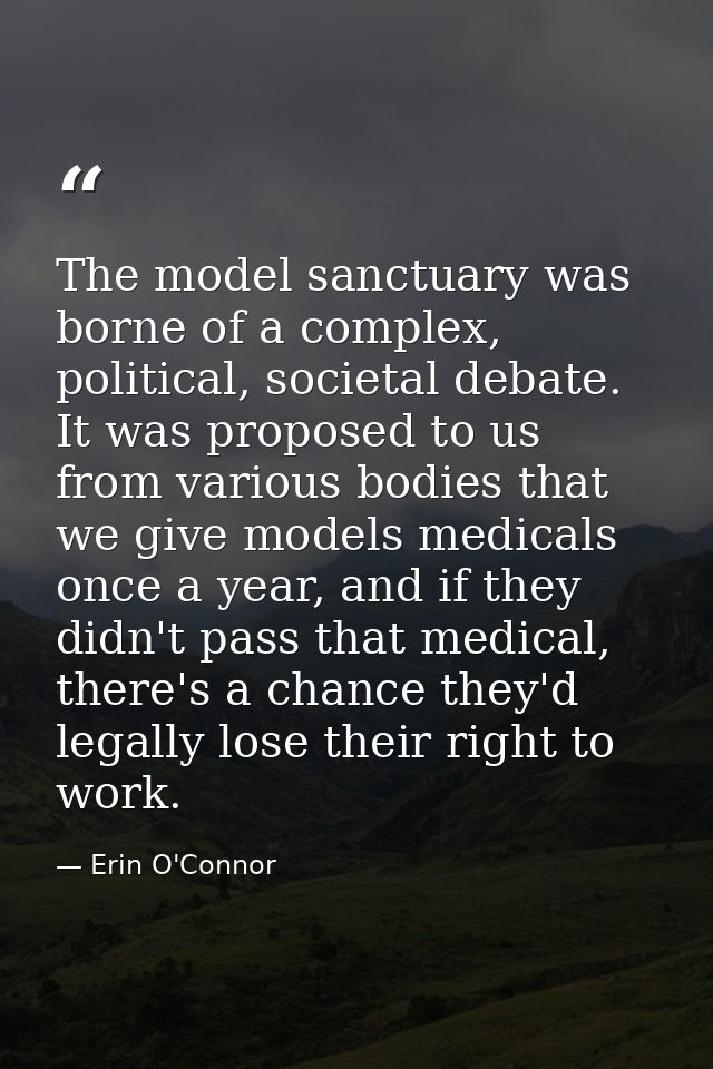 The model sanctuary was borne of a complex, political, societal debate. It was proposed to us from various bodies that w — Erin O'Connor