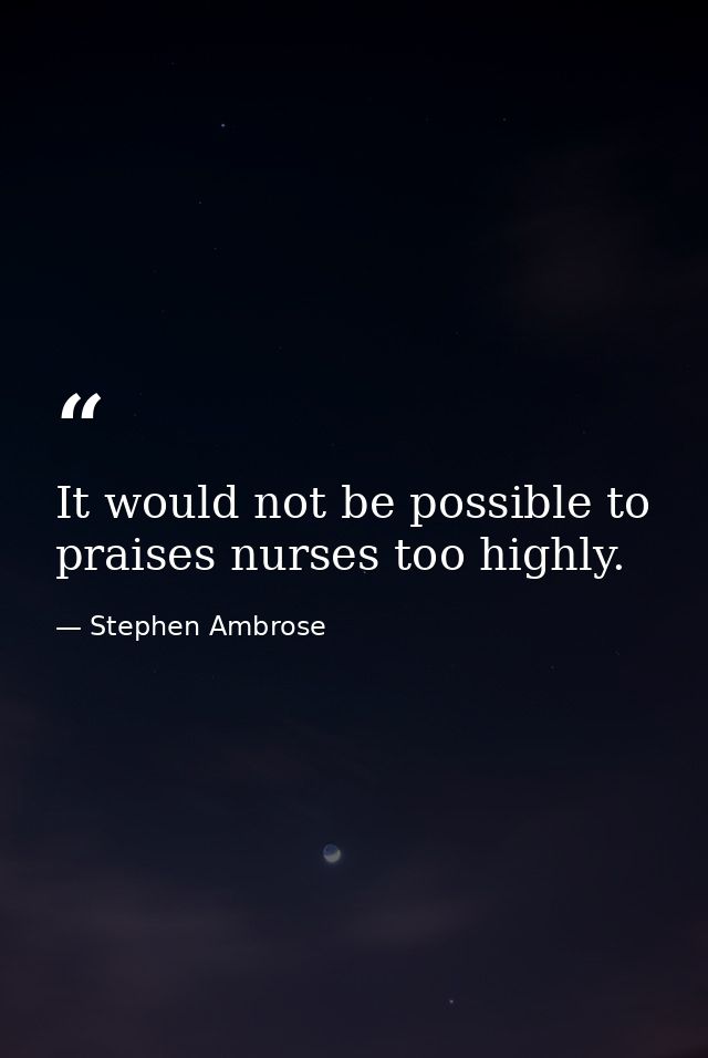 It would not be possible to praises nurses too highly. — Stephen Ambrose