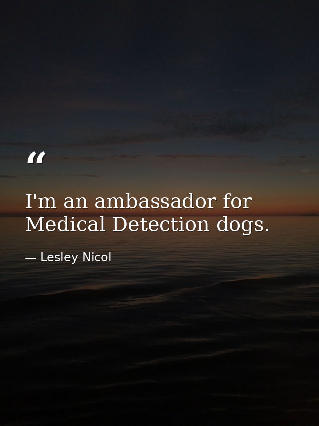 I'm an ambassador for Medical Detection dogs. — Lesley Nicol